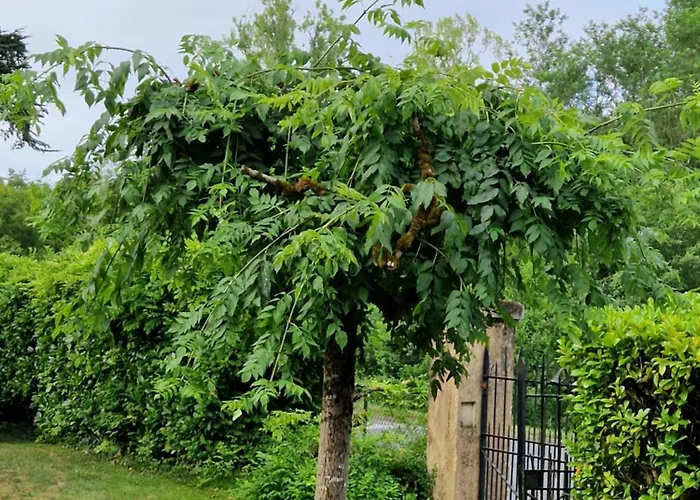 منزل للإقامة La Mouline *